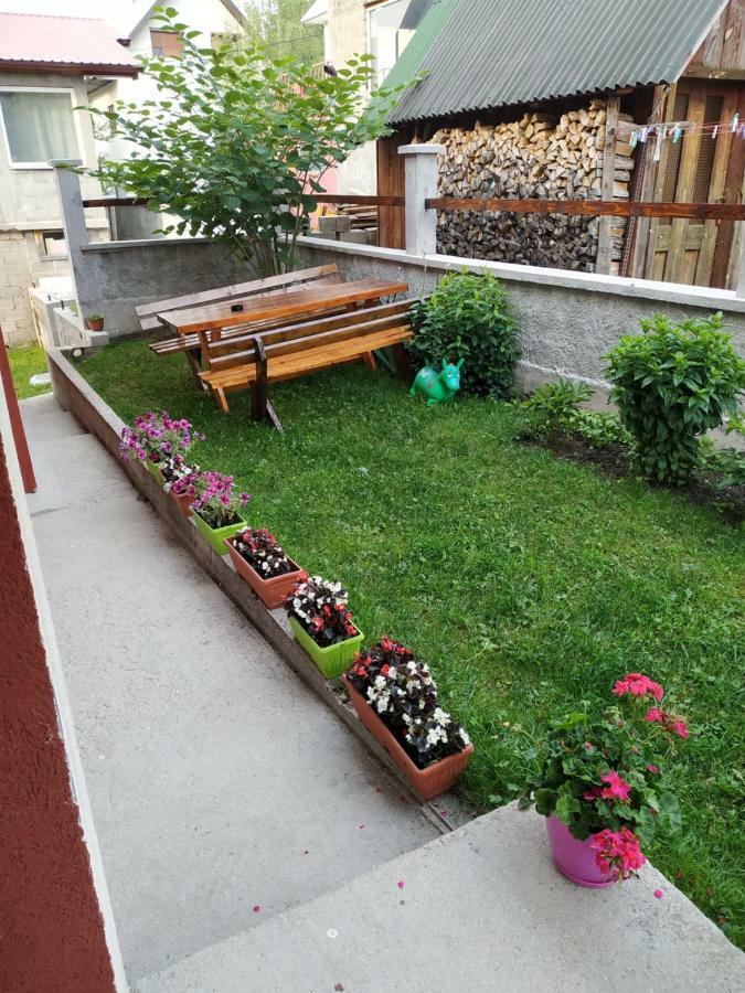 Apartments Bozovic Žabljak Zewnętrze zdjęcie