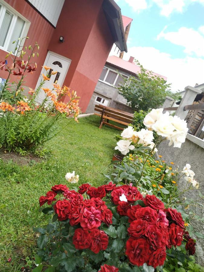 Apartments Bozovic Žabljak Zewnętrze zdjęcie