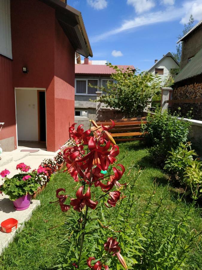 Apartments Bozovic Žabljak Zewnętrze zdjęcie